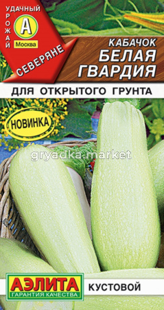 Кабачок Белая гвардия 1г Темно-зеленый Ранн (Аэлита)