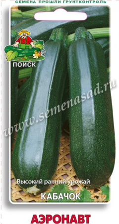 Кабачок Аэронавт 12шт (Поиск) Кабачок Аэронавт 12шт (Поиск)