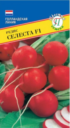 Редис Селеста F1 1г. Престиж