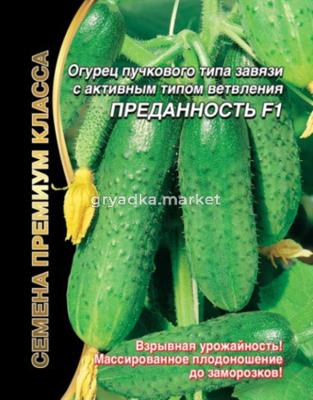 Огурец Преданность F1 (УД) ЧСС