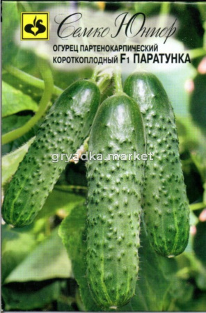 Огурец Паратунка F1,Парт,без горечи,холод, Семко