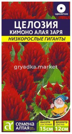 Целозия Перистая Кимоно Алая заря-Сем Алт-цп 10 шт. Низкорослые гиганты