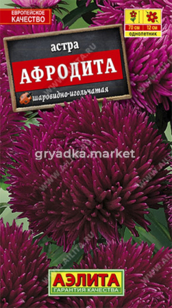 Астра Афродита (Аэлита)