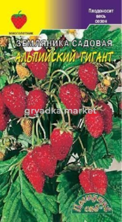 Земляника Альпийский гигант Цвет.сад.