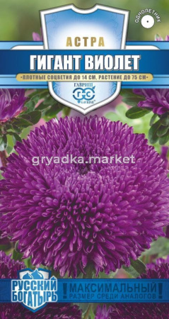 Астра Гигант виолетх  0,1 г игольчато-коготковая, серия Русский богатырь Н18