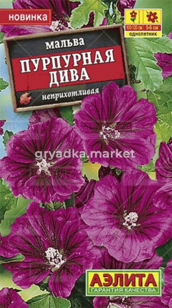 Мальва Пурпурная дива Аэлита