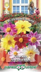 Георгина Чародейка смесь 0,3г Чудесный балкон