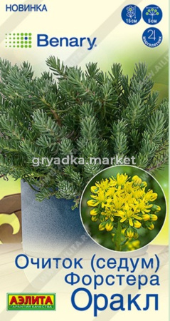 Очиток (Седум) форстера Оракл 5шт Одн 20см (Аэлита)