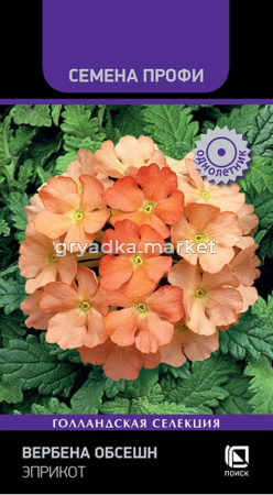 Вербена Обсешн Эприкот 10шт Одн 20см (Поиск) Семена Профи