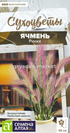 Ячмень гривастый Рикки 5шт Мн 45см (Сем.Алт)