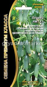 Огурец РМТ букет тип (УД) ЧСС