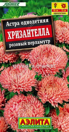 Астра Хризантелла розовый перламутр  махровая 15шт Одн 80см (Аэлита)