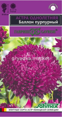 Астра Баллон Пурпурный густомахровая 0,05г Одн 60см (Гавриш) Эксклюзив