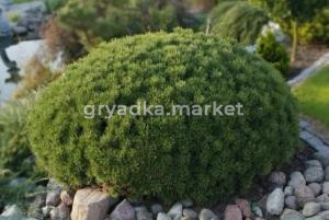 Скриншот 22-04-2026 112111