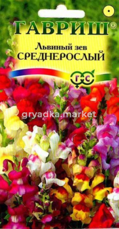 Львиный зев Среднерослый смесь 0,1г Гавриш