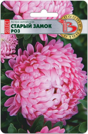 Астра Старый замок селект Роз китайская 40шт Одн 70см (Биотехника)