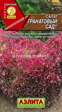 Салат Гранатовый сад Аэлита