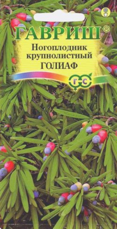 Ногоплодник Голиаф ,круглолистный 3шт Гавриш Ногоплодник Голиаф ,круглолистный 3шт Гавриш
