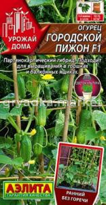 Огурец Городской пижон F1 Партен Ранн (Аэлита)