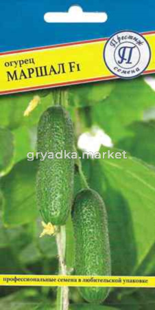 Огурец Маршал F1 5шт Парт Ранн (Престиж)