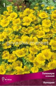 Гелениум осенний Канария 1шт (желтый, 160см, l)