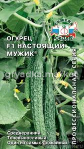 Огурец Настоящий мужик F1 0,2гр (Седек)