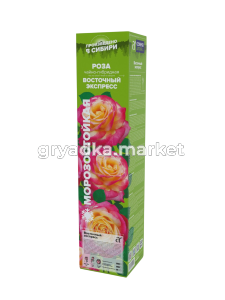 восточный экспресс-Photoroom (1)