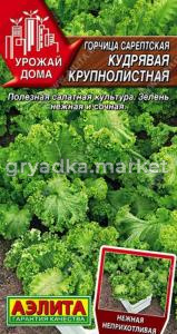Горчица Кудрявая крупнолистная сарептская 0,5 (Аэлита)