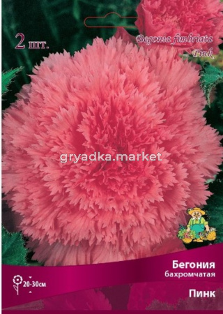 Бегония бахромчатая Пинк 2шт.4-5