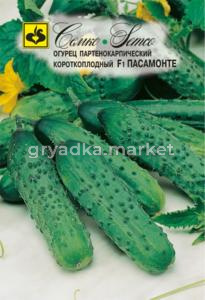 Огурец Пасамонте F1 Семко
