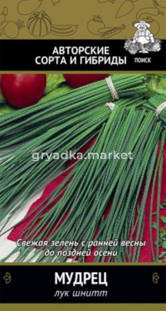 Лук шнитт Мудрец 0,5г. Поиск