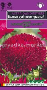 Астра Баллон рубиново-красный густомахровая 0,05г Одн 60см (Гавриш) Эксклюзив