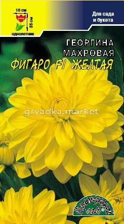 Скриншот 09-01-2023 112031