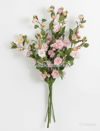 diting_result_f76daeeda9d311f1b5f7dac8d6e9694f_1