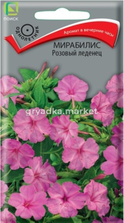 Мирабилис Розовый леденец 1г Одн 80см (Поиск)