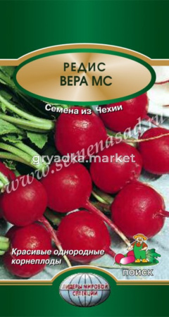 Редис Вера МС (ЦВх) 3гр.