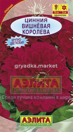 Цинния Вишневая Королева (Аэлита)