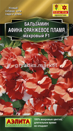 Бальзамин Афина F1 Оранжевое пламя Аэлита