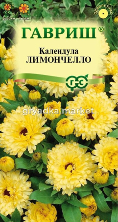 Календула Лимончелло 0,3г Одн 50см (Гавриш) Н23