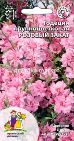 Годеция Розовый закат крупноцветковая 0,1г Одн 35см (УД)