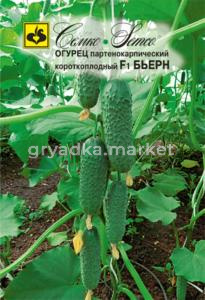 Огурец Бьерн F1 Семко