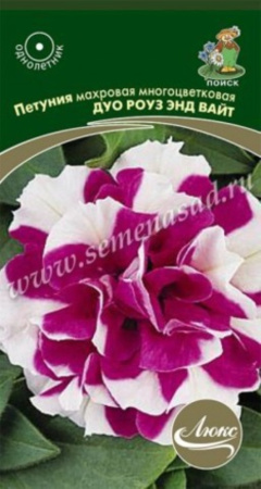 Петуния Дуо Роуз энд Вайт, махр.мнгцвет 10шт.Поиск