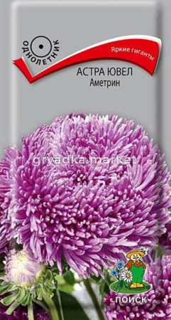 Астра ювел Аметрин 0,2г (Поиск)