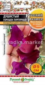 Душистый горошек Русский размер Пурпурный 6 шт. НК