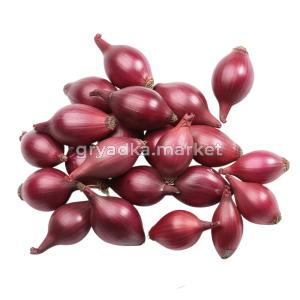 Лук-севок Кармен