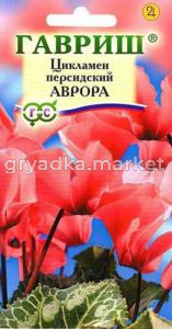 Цикламен Аврора персидский 3 шт. Гавриш