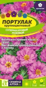 Скриншот 20-08-2026 133549