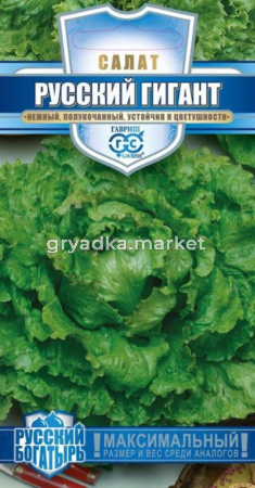 Салат Русский богатырь (гигант) 0,5 г -полукочан.-серия Русский богатырь Н13