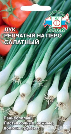 Лук на зелень Салатный 1г (Седек)