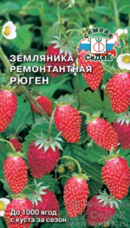 Земляника Рюген 0,04г. (Седек)